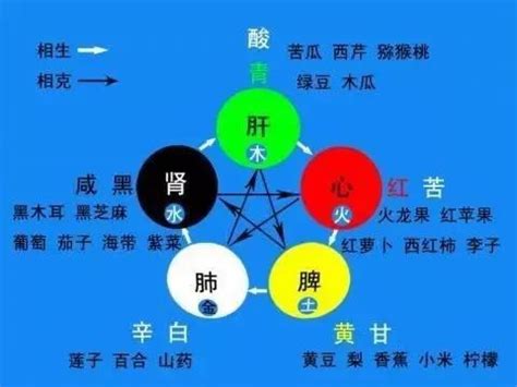 五臟五行 马几岁2023